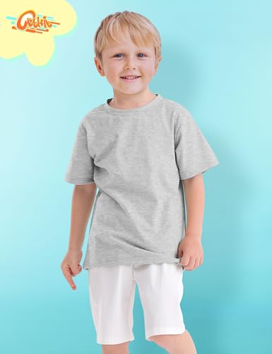 Boys Shirts 6-Pack Short Sleeve Toddler Boy Tshirts Round Neck T Shirts Cotton Basic Tees Summer Tops Kids T-Shirt Size 2-10Y2