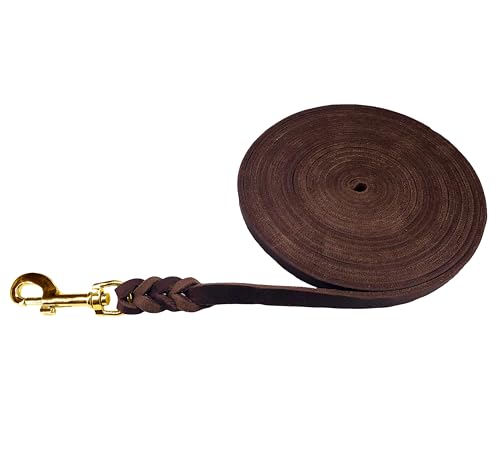Hundeleine Fettleder/Schleppleine Leder Messing/Lederleine kleine Hunde & große Hunde / 2m / 3m / 5m / 10m / 15m /20m (Braun MIT Handschlaufe, 3m / 12mm)