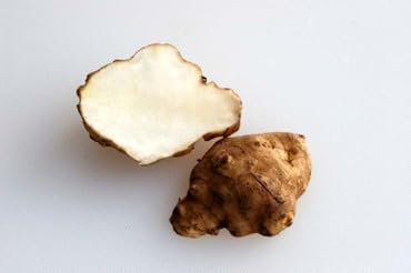 �C�^���A�Y �g�s�i���u�[��(�e���L�N�C��) ��500g