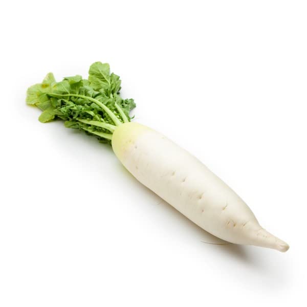 Radish Chandani Seeds Hybrids F1 Vegetable Seeds for Home Garden for Planting for All Season (50 seeds) By Zabbus (B0BHQK68FY) Amazon Price History, Amazon Price Tracker