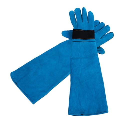 Collares Gatos Cuero Marca Toddmomy