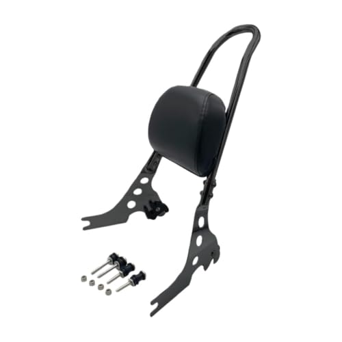 Dossier passager détachable pour Sportster XL883 Iron et Custom