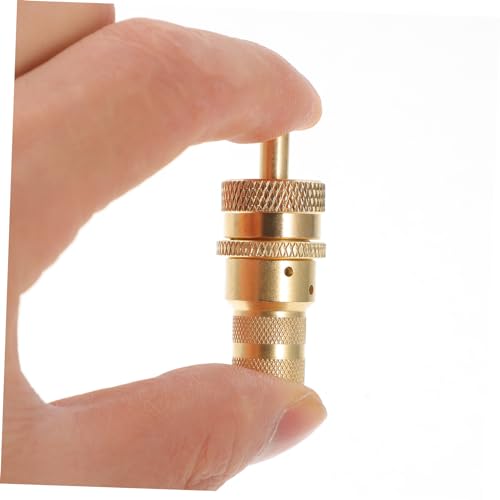 Tapa de Válvula para Neumático de Metal Dorada, Universal para Auto y Bicicleta, Fácil Instalación y Reemplazo miniatura 5