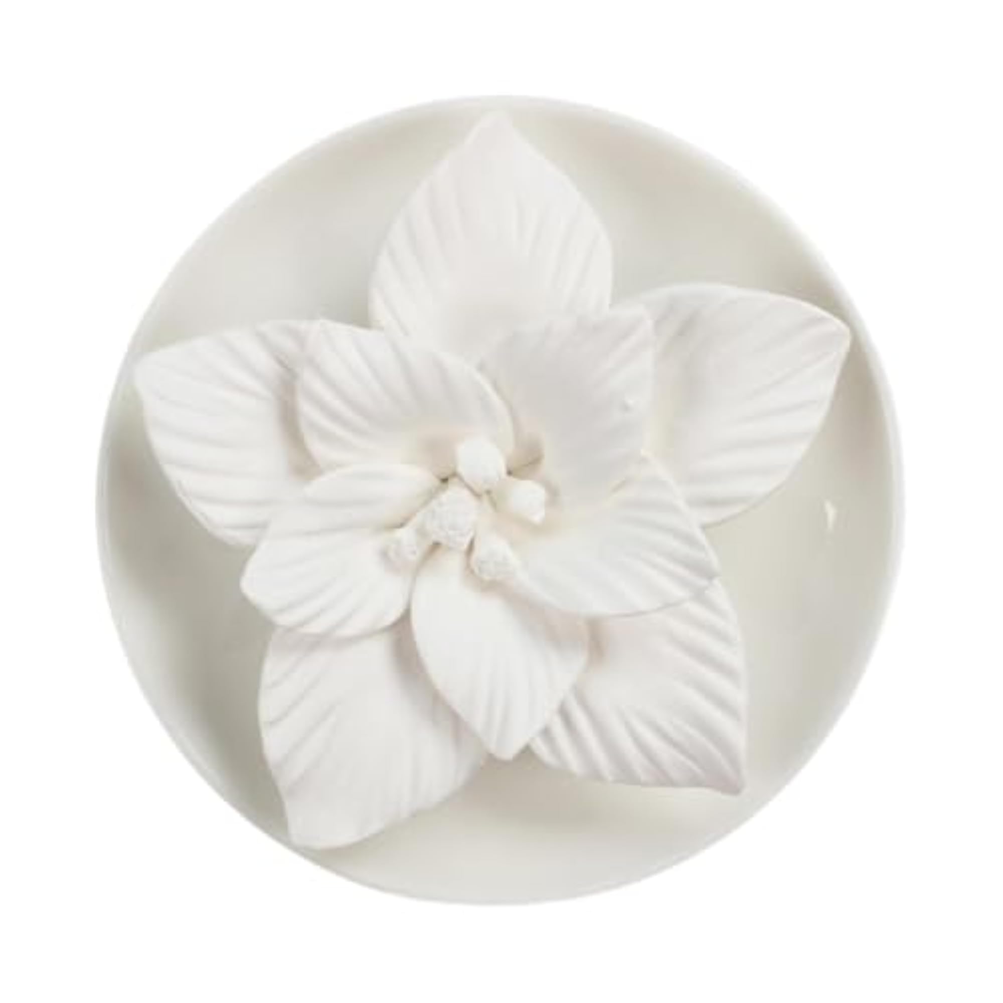 Flower Aroma Diffuser for Housewarming