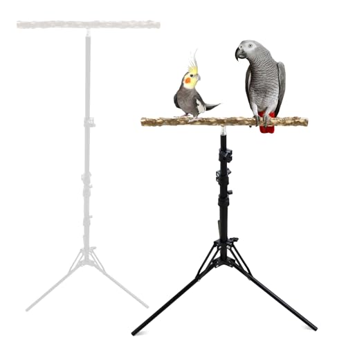 Wooden Bird Perch Stand with a Height Adjustable Tripod, Bird Training Accessories for Indoor or Outdoor, Bird Stand for African Grey, Budgies, Cockatiels, Lovebirds, Conures, Small to Medium Birds