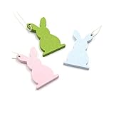 Easter Bunny Wooden Hanging Tags Egg Rabbit Shape Easter Craft Wooden Hanging JHE30 (3 Bunny Set)