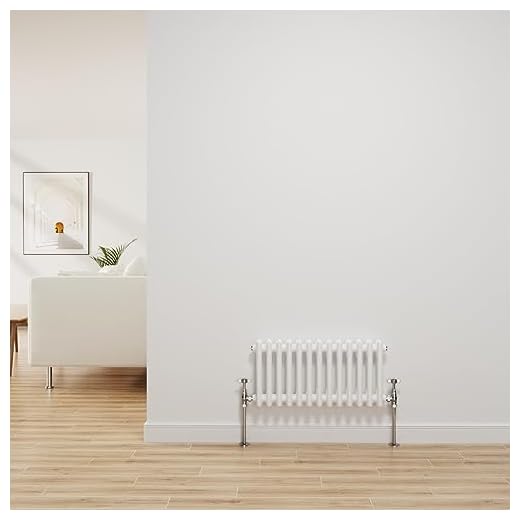 NRG Radiador tradicional blanco brillante de hierro fundido de 2 columnas de calefacción central horizontal radiador de baño 300 x 605 mm