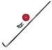 Pico 0864A 10" x 1/4" L-Style Battery Hold Down Bolt 24 Per Package