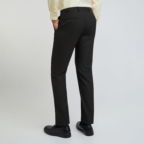 Image of Park Avenue Men Regular Fit Checks Pattern Poly Viscose Blend Flat Front Formal Trouser