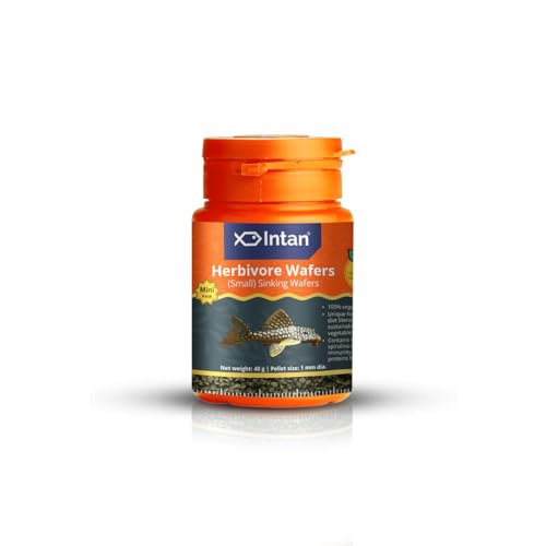 Image of Intan Herbivore Wafers (Small 1mm Sinking) | 40gm - Highly Nutritious Ornamental Fish Food for Herbivorous Fish - Mollies, Mbunas & Plecos | Growel Feeds
