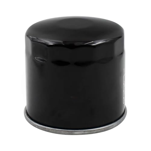 Filtre à huile moteur de moto pour 502c TRK502 Leoncino500 BJ300