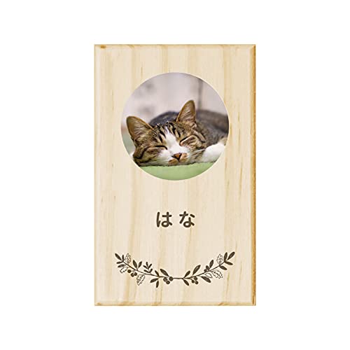 y ꖳ z L̂ P[X [t ʐ^   Ck lR ˂   L A ybg O IWi  ۊ   ̎ L̎ O 킢 v[g Mtg  P[X LOi LO