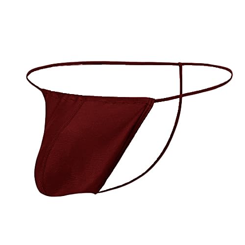 THE BLAZZEMen's Thong Low Rise Sexy Solid G-String Thong Bikini T-String Sexy Lingerie Panties Briefs L749