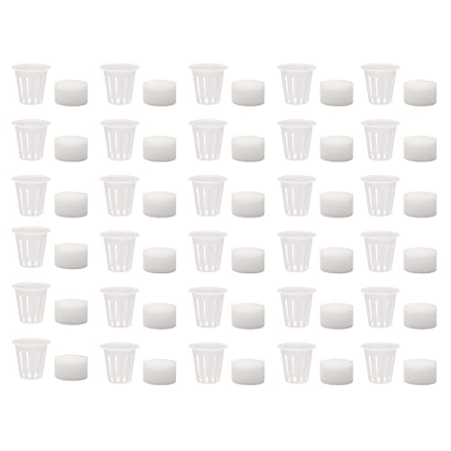 水耕栽培 用 ポット ＆ スポンジ 各30個セット【 ホワイト 】プラスチック キット 育成ポット 鉢 室内 キッチン 野菜作り