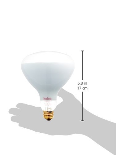 Halco Bc2810 14042 R40Fl500/Hg #104042 Halogen Light Bulb #TOP1