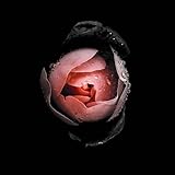 Reveal Records