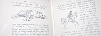 Hardcover Terrier's Days Book