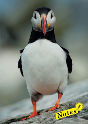 Design-Notizbuch Papageitaucher: Notes - Dein Notizbuch. Designed by Flo Tigers