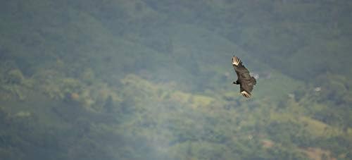 Home Comforts Armenia Landscapes Quindio Nature - Póster laminado de 20 x 30 pulgadas con colores brillantes e imágenes vívidas, se adapta