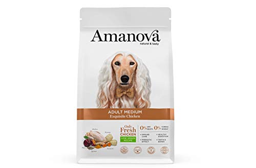Amanova Cibo Secco Super Premium per Cani Adulti Taglia Media Gusto Pollo - 100% Naturale, ipoallergenico e monoproteico - Low Grain - Cruelty Free - Formato da 12 kg