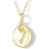 SELENICHAST Birth Flower Necklace 18k Gold Plated Custom Pendant Necklaces Dainty Personalized Gold Necklaces for Women Trendy Floral Jewelry Birthday Gifts for Her Mom Family