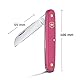 Victorinox Blumenmesser, Garten, Schweizer Taschenmesser, Gärtner und Floristen, Klinge, gerade, violett