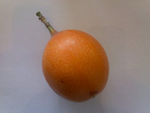 Granadilla Passion Fruit (10 Seeds) High Germination Rate for Seeds