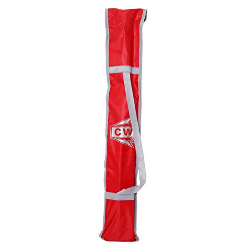 CW PACE Sports Combo in pelle palla gioco kashmir salice mazza da cricket full size con tiro pratica palla in pelle appeso con corda