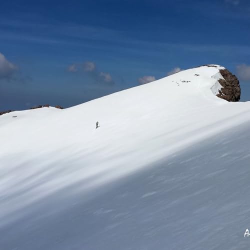 Moutarde et s&egrave;che cheveux 100% fran&ccedil;ais !