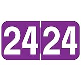 2024 Year Stickers, Doctor Stuff 2024 Chart Stickers, Purple Color Coded, Ames/TAB Style, USA Made Year Labels for End Tab File Folders, 500/Roll, 1 Roll, 3/4