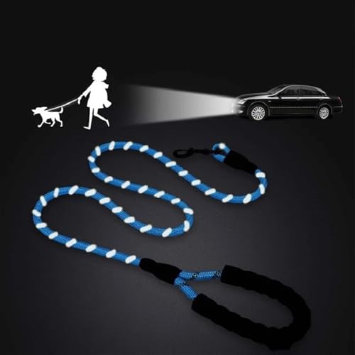 Longe de chien pour balade nocturne en toute sécurité - 5