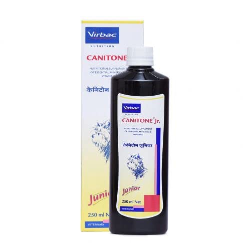 Fifozone CANITONE Jr Syrup for Dogs (250 ml) (B0BGRN863J) Amazon Price History, Amazon Price Tracker