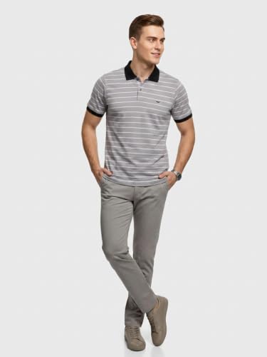Image of Park Avenue Men Slim Fit Stripe Pattern Pure Cotton Polo Neck Half Sleeve Casual T-Shirt