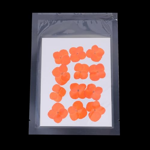 Flores prensadas secas PATIKIL, 48 unidades, naranja miniatura 4