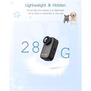 4K Cat Collar Camera, HD WiFi Pet Camera with 64GB SD Card, Mini Action Camera for Video Records Dog Collar Camera for Pet Supplies Camera for Cats Dogs Outdoor/Inoor Puppy Supplies Birthday 4K Cat Collar Camera, HD WiFi Pet Camera with 64GB SD Card, Mini Action Camera for Video Records Dog Collar Camera for Pet Supplies Camera for Cats Dogs Outdoor/Inoor Puppy Supplies Birthday