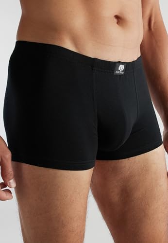 Short-pants de algodón premium y elastano en punto single jersey para hombre 5
