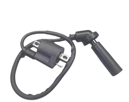 Bobine d'allumage avec capuchon de bougie pour Hyosung GT250 GV125 RT125 XRX125