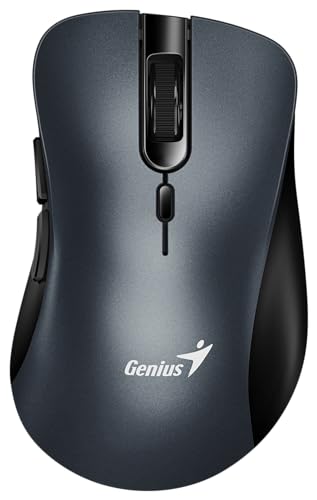GENIUS Souris : Ergo 8100S Gris fer