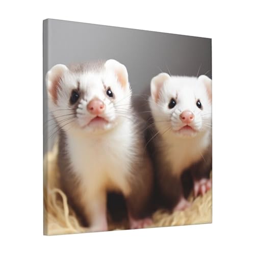 Poster furet 30,5 x 30,5 cm decoration murale salon et impression sur toile