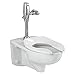 American Standard 2257.528.020 Afwall Universal Floor Mount Toilet Bowl and 1.28 Gpf Selectronic Flush Valve