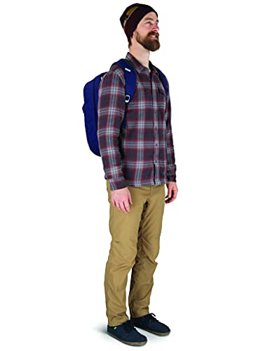 Image of Osprey Arcane Extra Large Day Laptop Backpack, Deep Fig, One Size