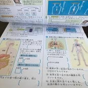 アルファ実験教室 小6 理科 スタンダード/ベーシックコース テキスト 計43冊 098L2D アルファ実験教室 小6 理科 スタンダード/ベーシックコース