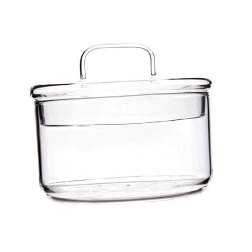 ROMISBABA Ciotola in Vetro Trasparente con Coperchio Insalatiera per Frutta e Verdura Ciotola da Dessert Resistente al Calore per Picnic e Feste