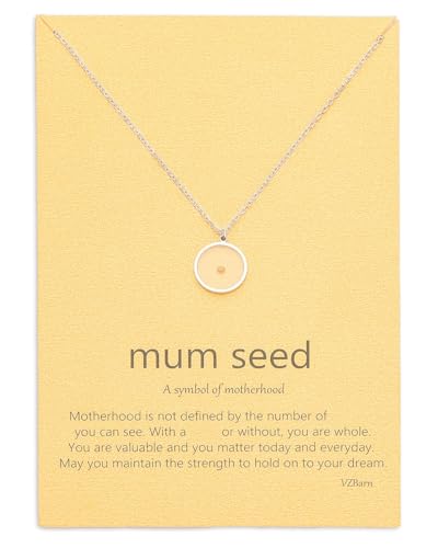 VZBarn Miscarriage Gifts for Mothers Loss Condolences Gift Mum Circle Pendant Necklace Silver