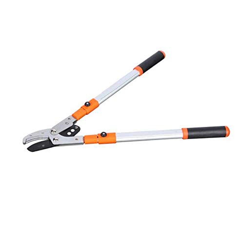Tijeras de podar con trinquete telescópicas, tijeras para ramas que ahorran mano de obra, herramientas de jardín para setos de jardín y tijeras para podar árboles para todas las familias