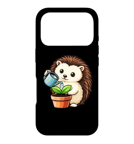 Water First Hedgehog �A�����D�� �O���t�B�b�N �X�}�z�P�[�X iPhone 17 Pro �p