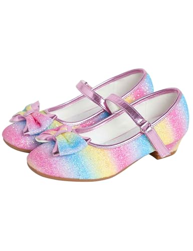 Rainbow Toddler Girls Dress Shoes Pumps for Prom, Party, Wedding, Flower Low Heel Mary Jane Flats Footwear