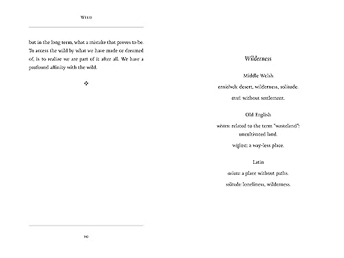 Wild: Tales from Early Medieval Britain - Image 4