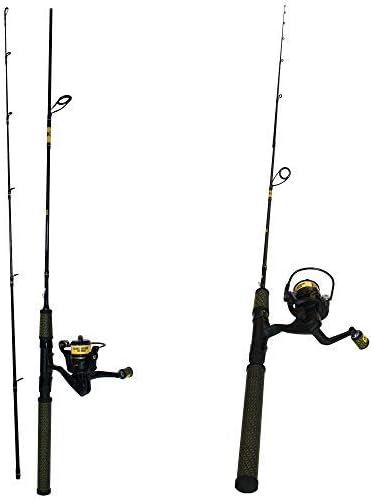 profishiency spinning combo