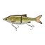 Gold Shad